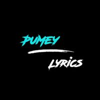 original sound - ☆ PuMeyz ☆