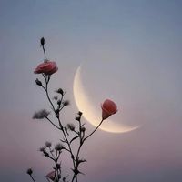 เสียงต้นฉบับ - 🖤