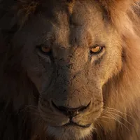 original sound - leo.the.lions.king