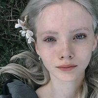 fawnywoods