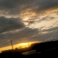 hectoranchundia31