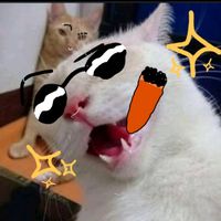 meowcat7332