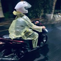 suara asli - gatauuu🌾
