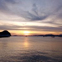 penunggusetia04