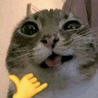 vikii.xddd