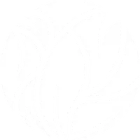 original sound - estebanmayner1