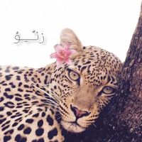 yh___hjy