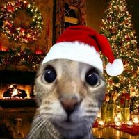 suara asli - CHRISTMAS☃️🎄🎉2024