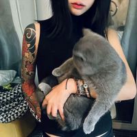 nhạc nền - 蒂乌维