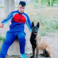 son original