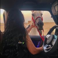 __kasira__