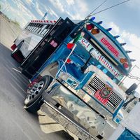 elrey_bellaco
