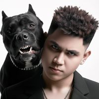 Mot lan dau don djthinhlouis