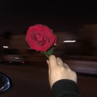 เสียงต้นฉบับ - กุหลาบ 🥀