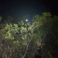 hasibur_rahman_143