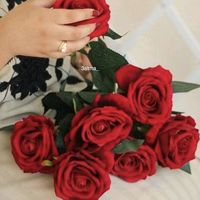 rimaalgracious