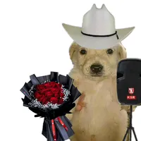 original sound - chepe_salinas03