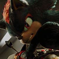shadowthehedgehog237