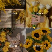 suara asli - فر محمدامودي