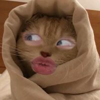 original sound - voldyan