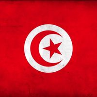 tunisian992