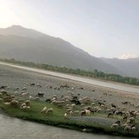 badshah_985