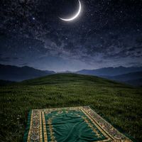 ahmedmohamed201114l4