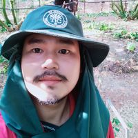 top_sattra88