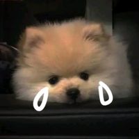 ammy_1503