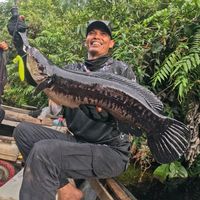 dedi_iskandar02