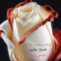 aala0552