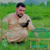 ibrahimkhan1190