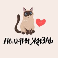 _diana_podari_zhizn_