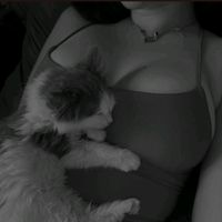 الصوت الأصلي - اެݪـبَـ𓄂ᬼ𓆃ٌَـاެٕࢪۅٛنِـۀ