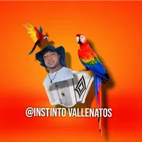 original sound - instintovallenatos