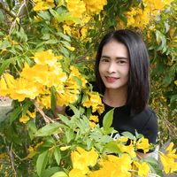 k.karnchanit