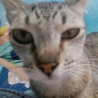 Meet your old friend again...