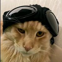 suara asli - ALIF SABIAN