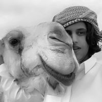 الصوت الأصلي