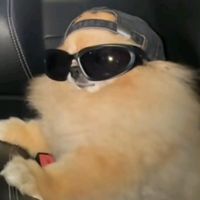 panko2858