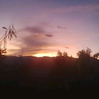 lauragomez61000907