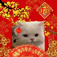 nhạc nền - nt_jjy