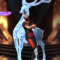 user035965147