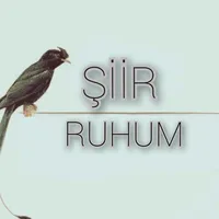 original sound - siirruhum