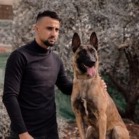 wardshorafa00