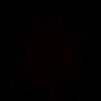 eliker201