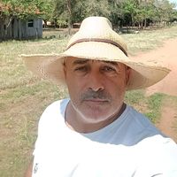 marciovaz978