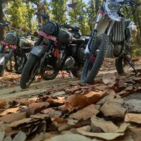 gearupteam..ᧁꪶꫀꪖꪑρꫀꪖᥴꫀ