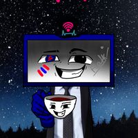 fox351