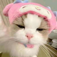 nhạc nền - Thaao Vaan 🤞
